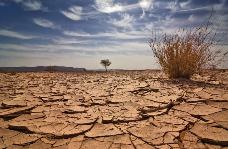 drought food insecurity