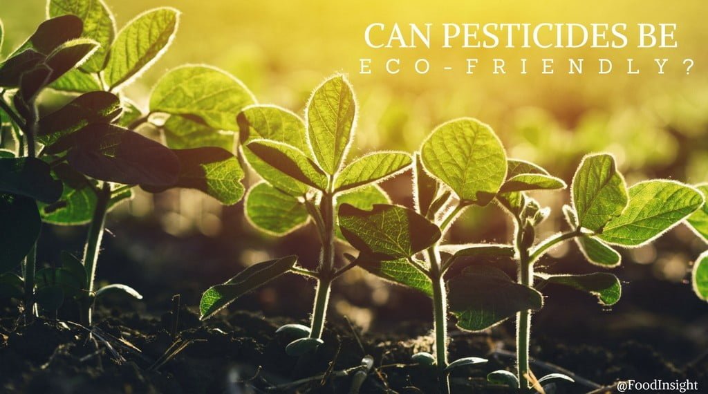 eco friendly pesticides_0.jpg