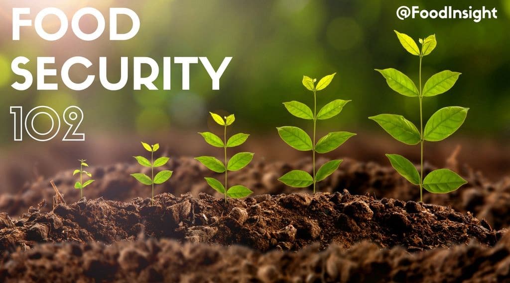 food security 2 header_1.jpg