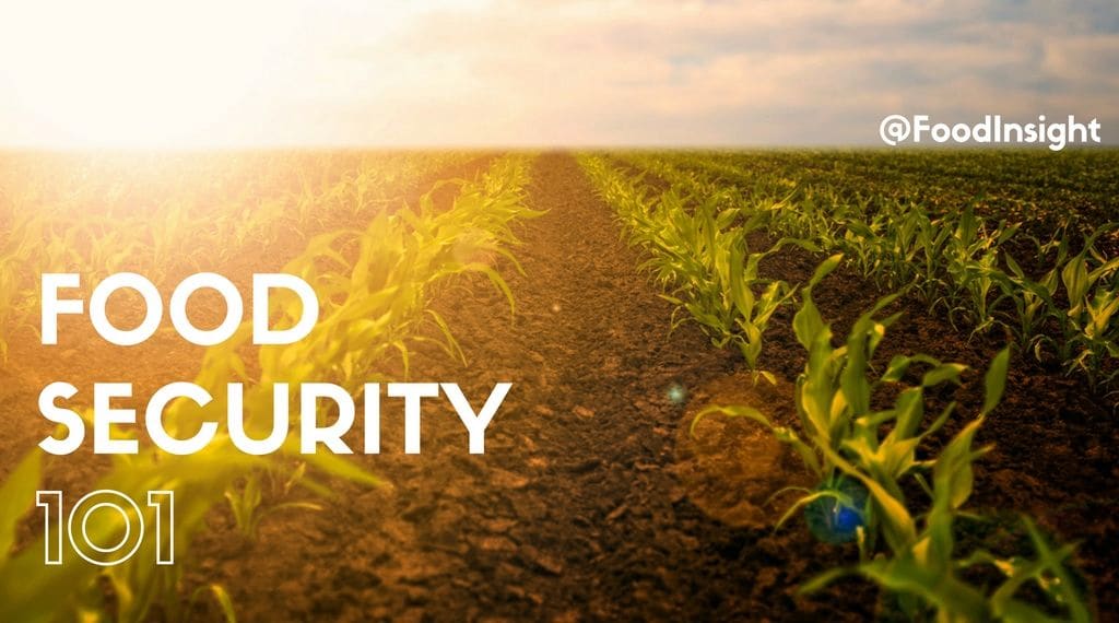 food security header_1.jpg