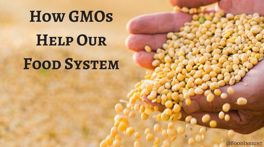 How GMOs Help Our Food Supply & Environment (1)optimized.jpg