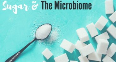 sugar and the microbiome.jpg