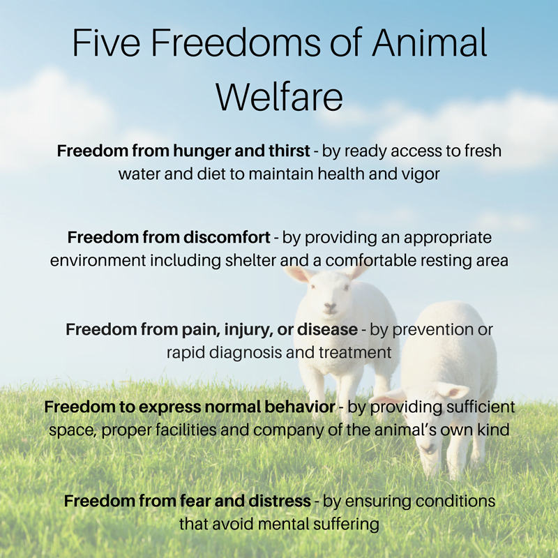 five freedoms of animal welfare