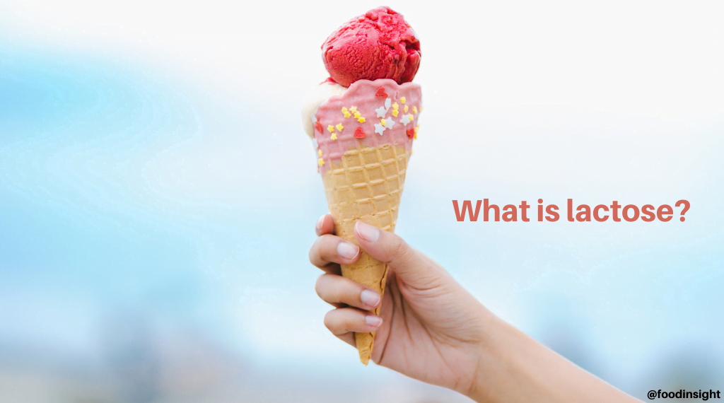 What Is Lactose?